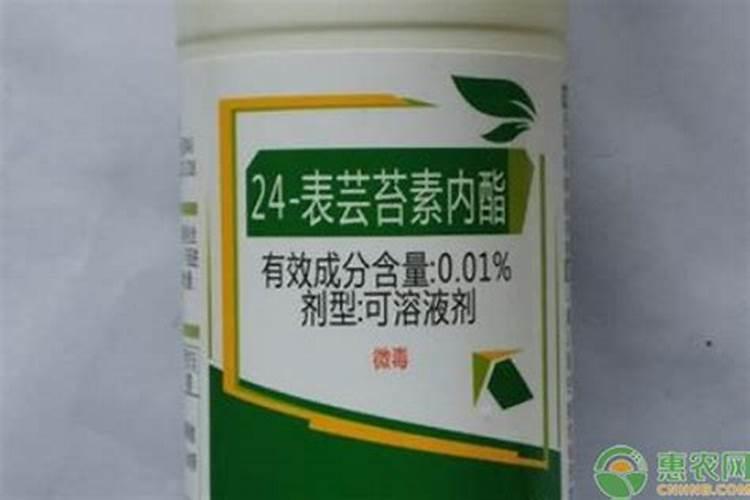 蔬菜喷洒芸苔素后多长时间能看到效果