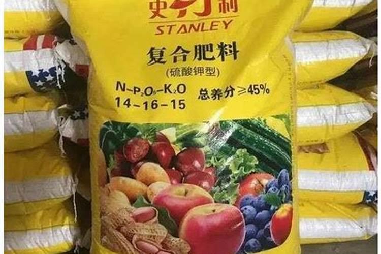 施什么肥让月季花开又多又大花瓣厚(自制月季花肥料)
