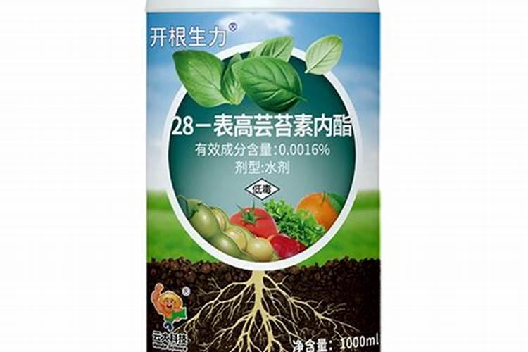 小麦打除草剂能加芸苔素吗