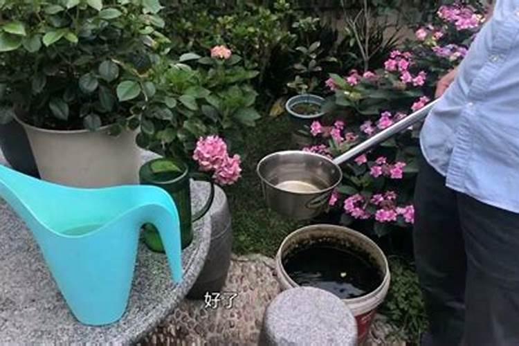 盆栽花卉的底肥怎么施？