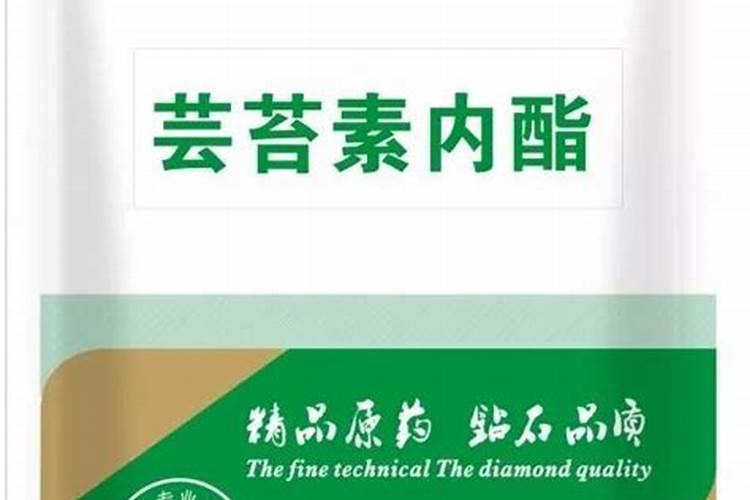 早上有露水能打玉米除草剂和叶面肥吗(打叶面肥最佳时机)