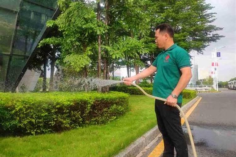 种植南瓜要想高产怎么办南瓜怎么养殖