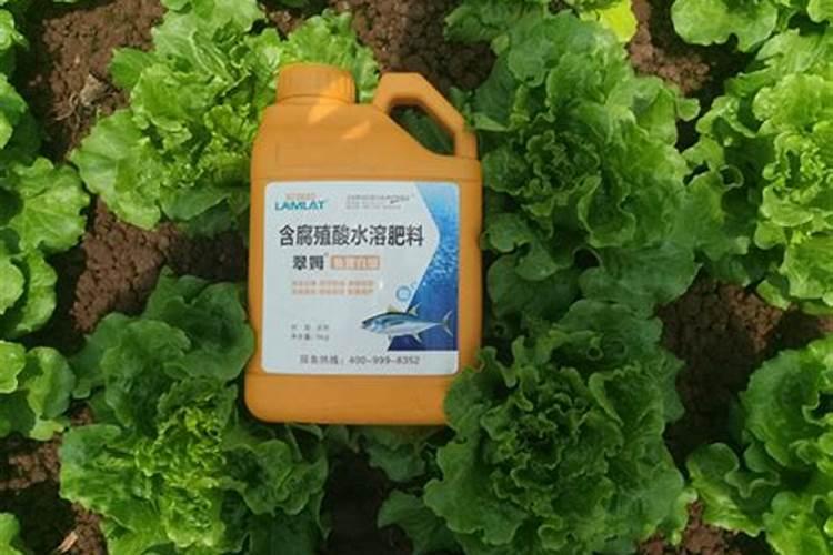 苹果树施肥时间,用什么水溶肥好