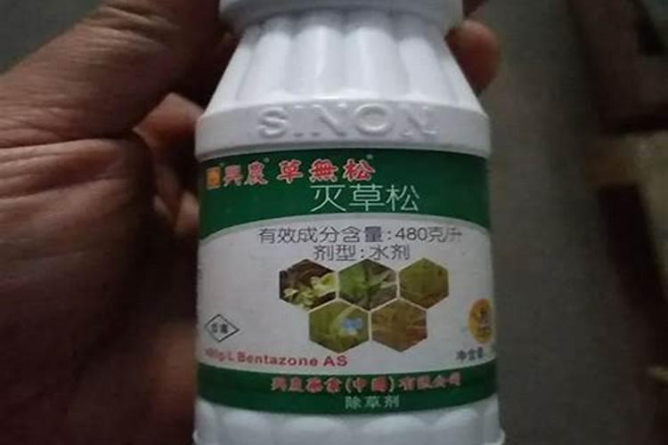 灭草松和叶面肥一起喷行吗