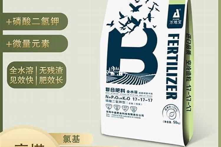 甘肃日光温室哪家好