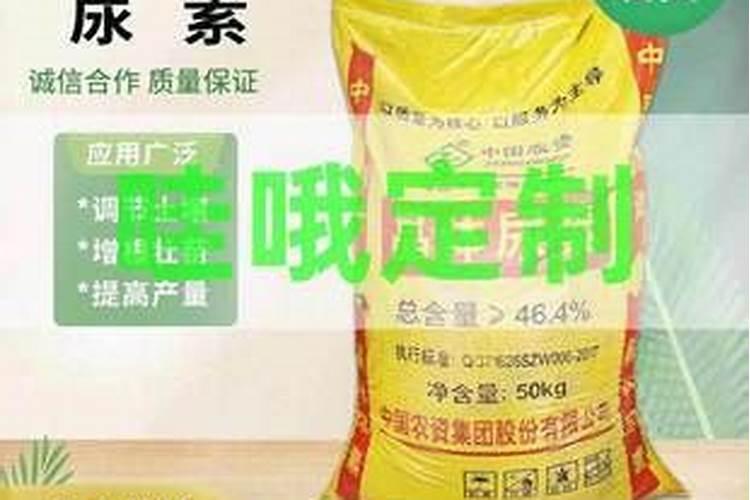 绿叶王能喷兰花吗