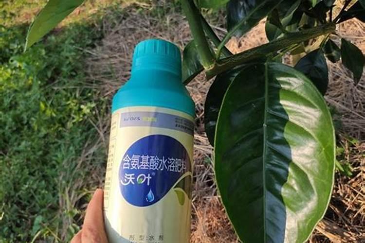 如何用金宝贝一型发酵助剂制作氨基酸叶面肥？