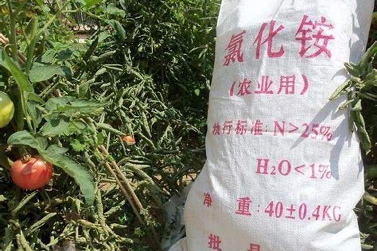 樱桃树水溶肥的使用方法