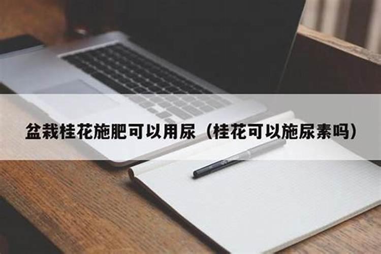 桂花树施什么肥合适