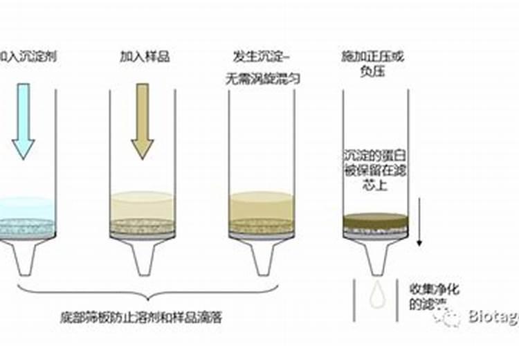 桃树浇水的正确方法