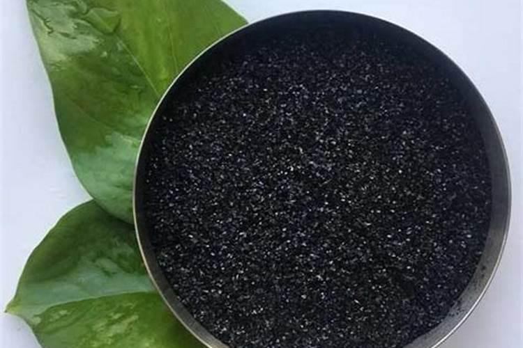 长寿花开花期间如何施肥