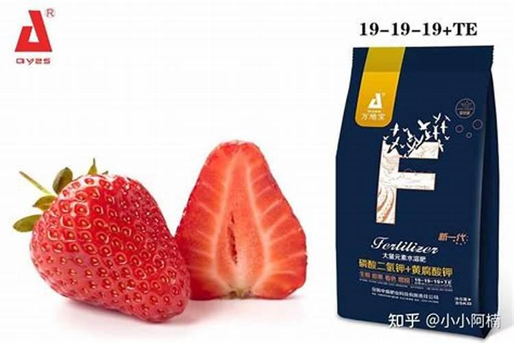 草莓施肥用什么肥料 草莓施肥使用的肥料介绍