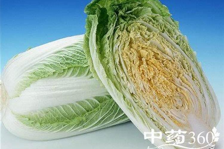 蔬菜种植缺硼有什么症状？如何正确补硼？