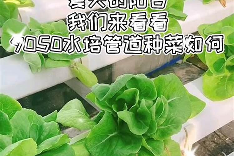 硼肥在农作物中起什么作用