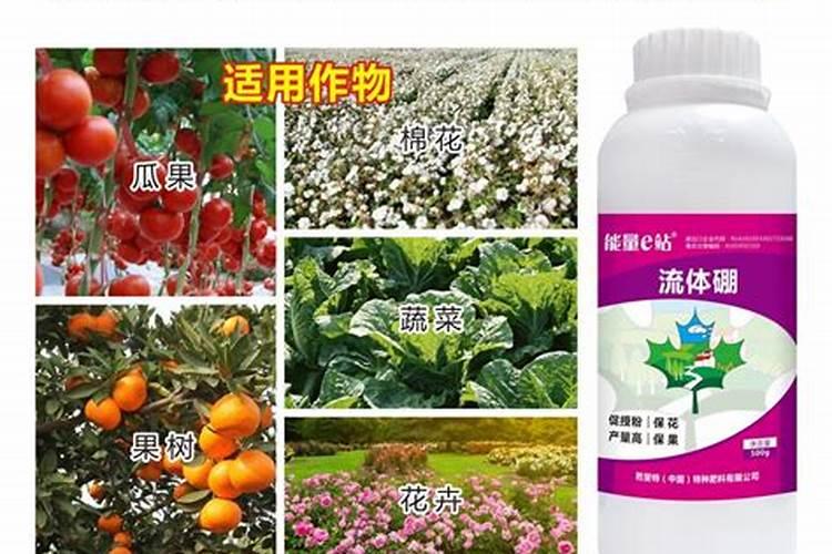 磷酸二氢钾跟钙肥 硼肥可以混用吗？