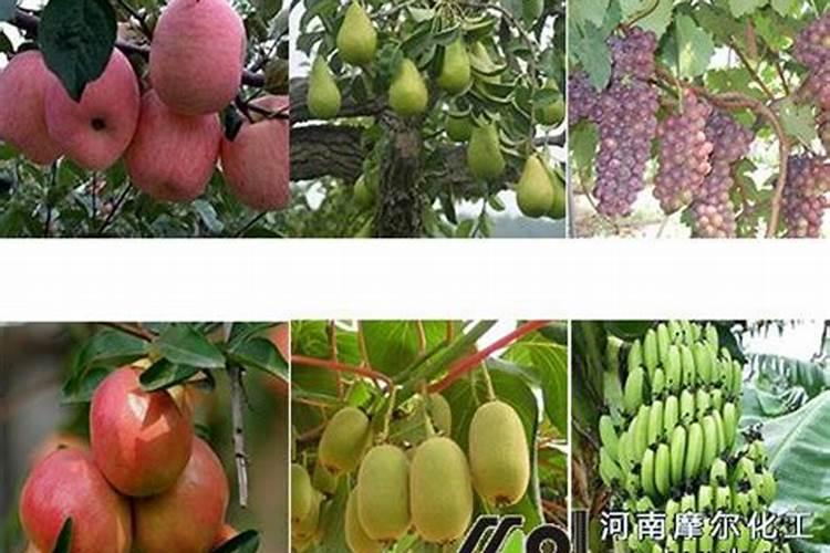 你了解钾肥吗,钾肥最适用哪些作物？
