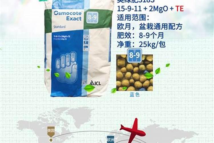 果树结果期施什么肥