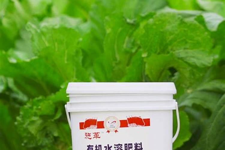 氮肥施用方法及注意事项