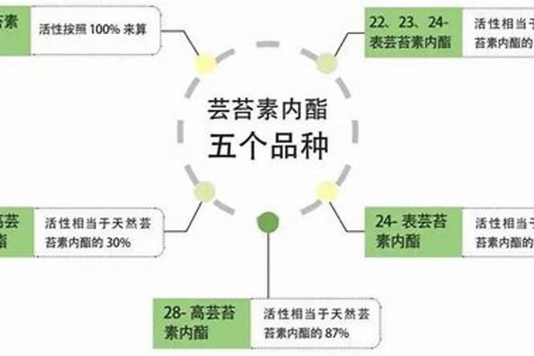 果树专用肥什么肥料最好了