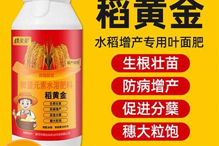 秧盘怎样育好水稻秧苗 秧盘是什么材料制成的