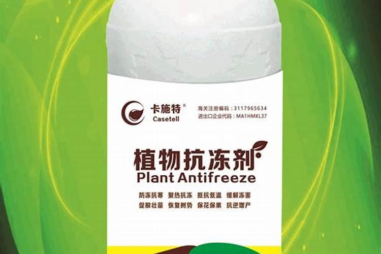 多肉防冻剂有用吗