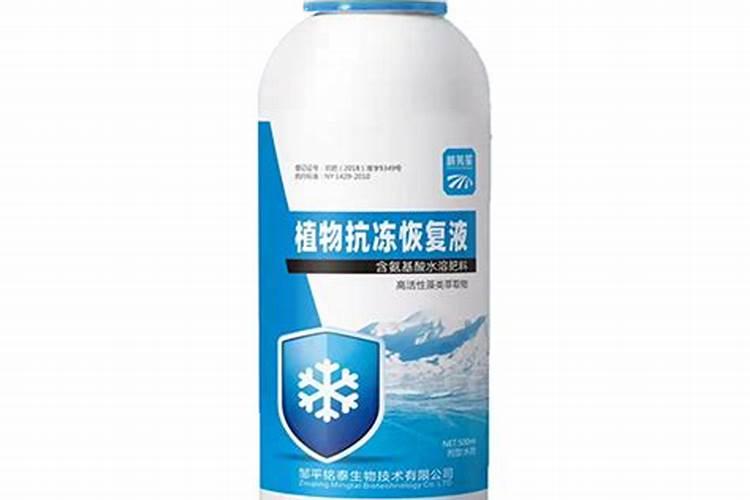 如何预防植物在冬季抗冻防冻？