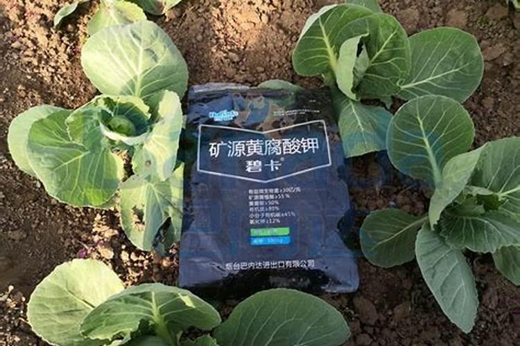 精草铵膦铵盐与草铵膦区别