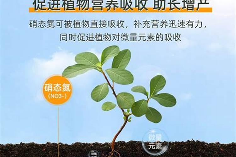 油菜一般打什么农药