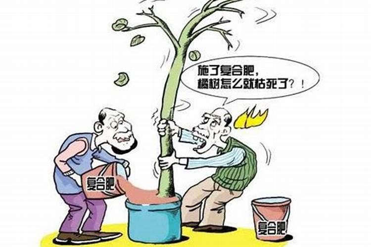氮磷钾肥有什么区别？