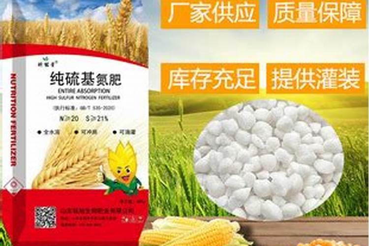 黄瓜控旺用叶绿素好吗？