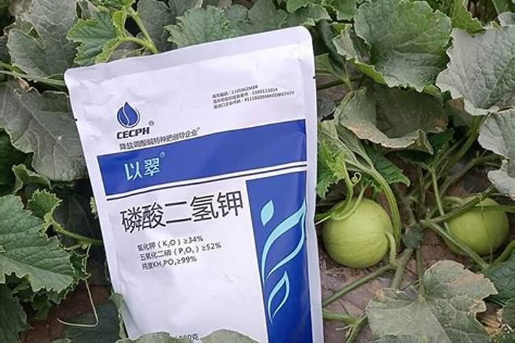 硝基肥适不适合种茶叶