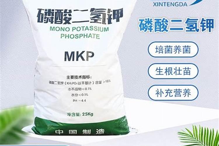 秋白菜盖地膜好还是不盖好？