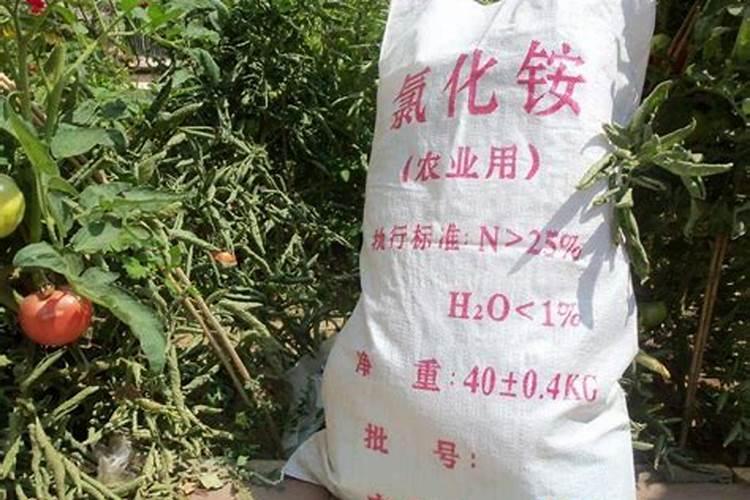 氯化铵是氮肥吗