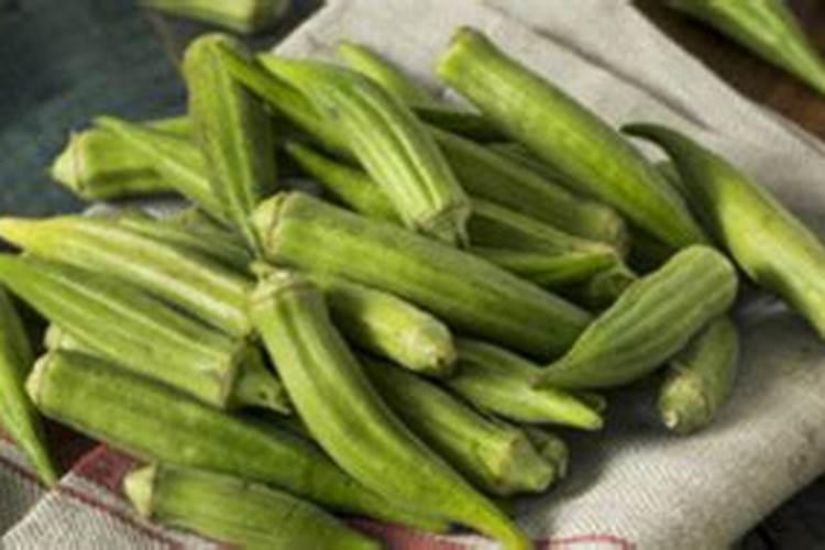 秋葵施肥时间及方法,秋葵移植后施什么肥好