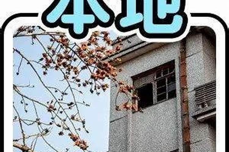 肥料知名商标有哪些