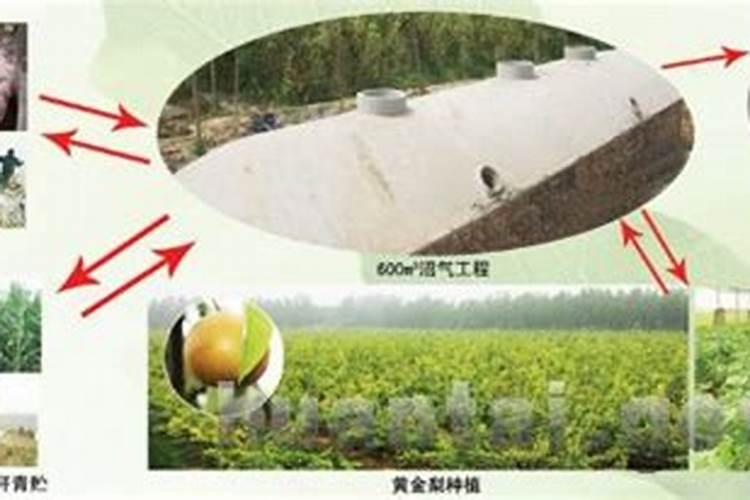 沼气液怎么利用