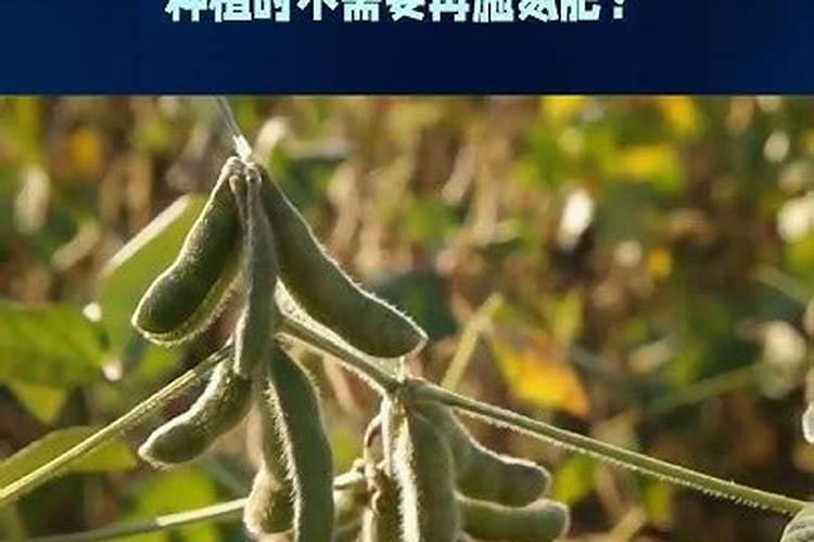 家中哪些物品属于氮肥呢