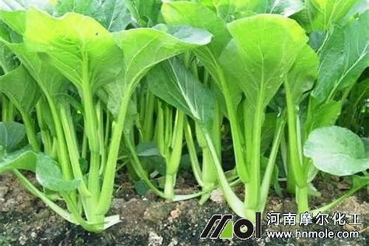 硝基磷肥会爆炸吗为什么