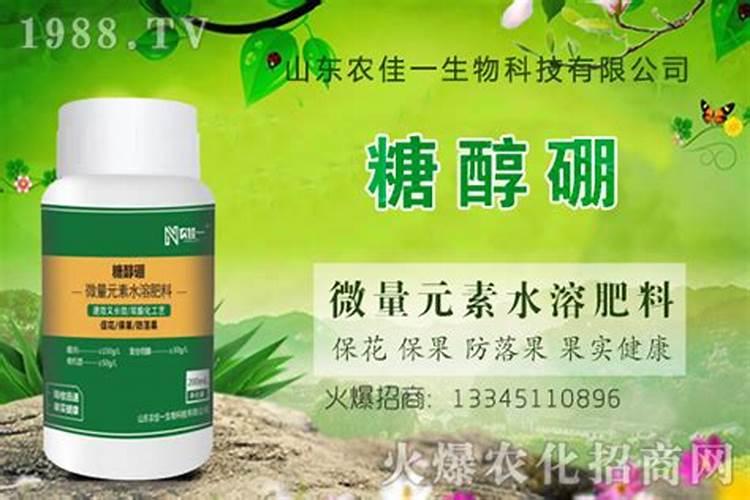 怎么用硼砂做肥料