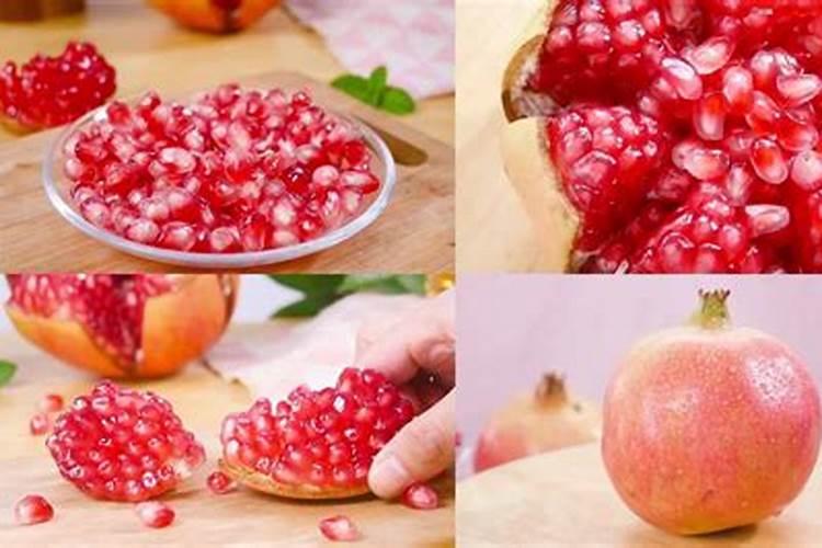 种菜用什么有机肥料最好