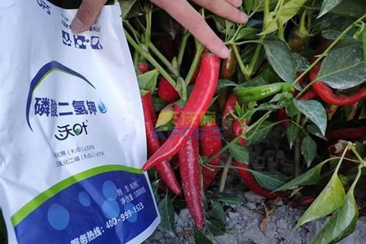 水溶肥能和碳酸氢铵混用吗？