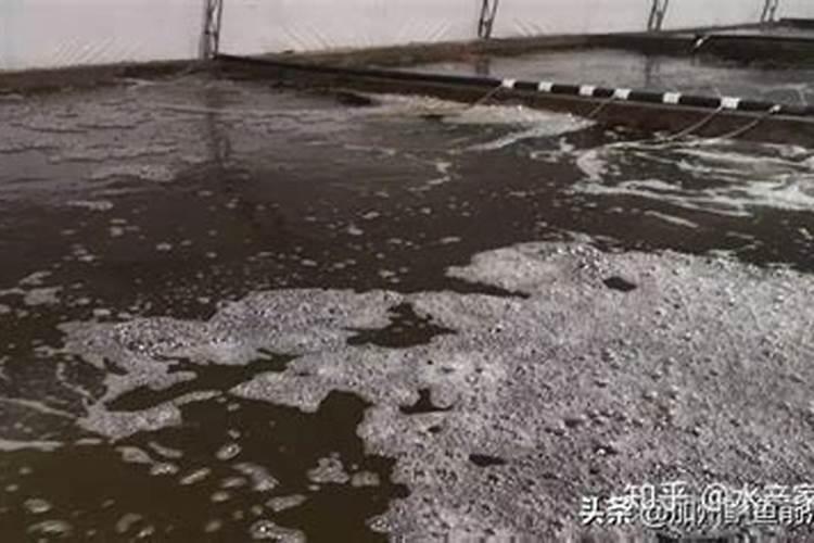 亩产1500斤的小麦底肥施多少,底肥如何配比合理