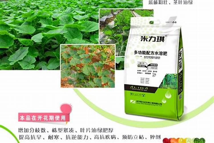 果树缺少中量元素会出现什么症状？