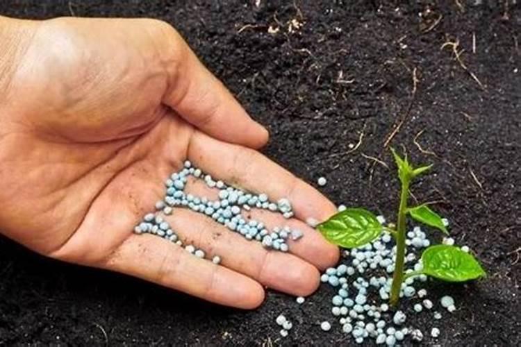 土壤不健康,应如何合理精准施肥,提高肥料利用率？