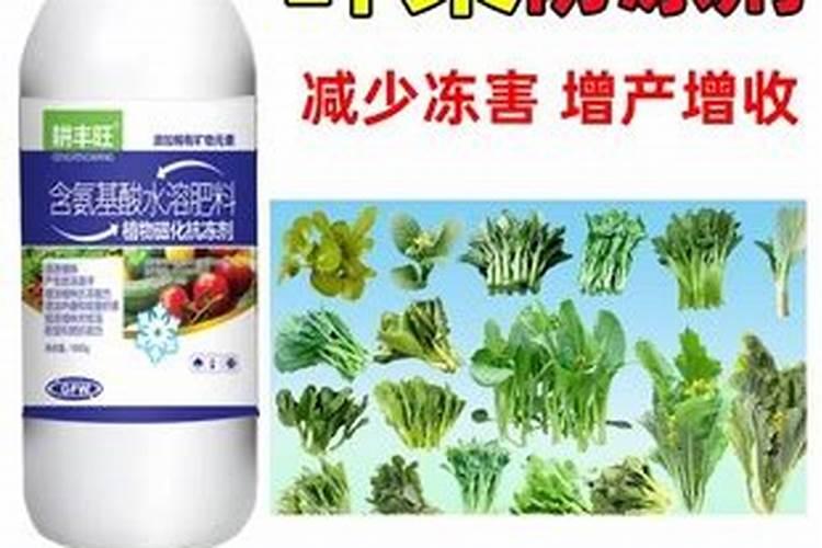 饼肥是氮肥还是钾肥