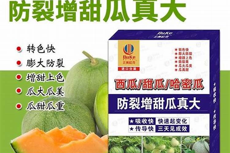 哈密瓜膨果期怎样施肥