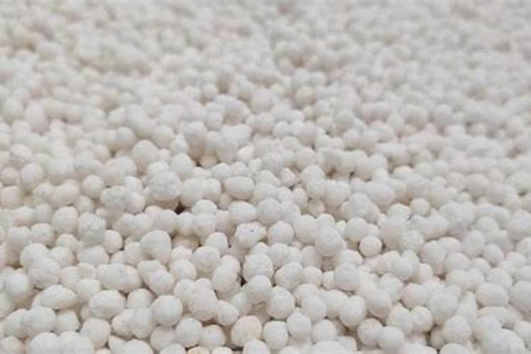 花叶鸭脚木用什么肥料