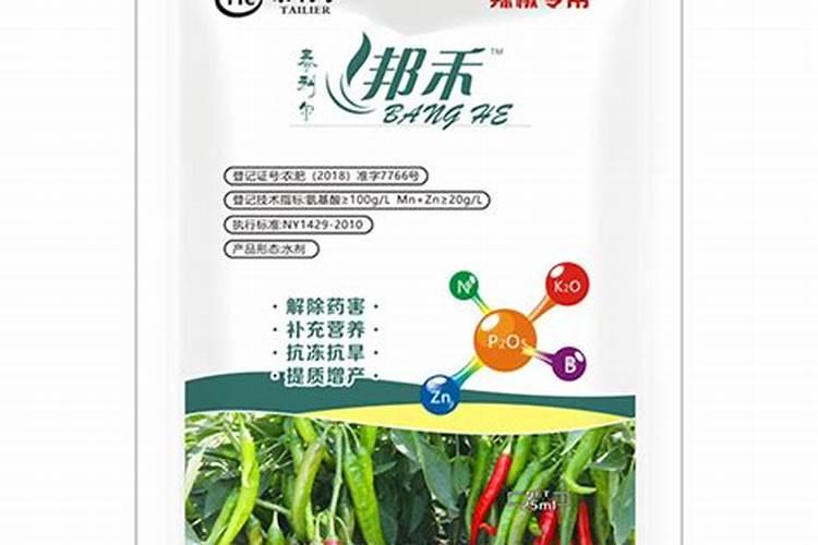 哈茨木聚糖含氨基酸水溶肥对小米辣的作用