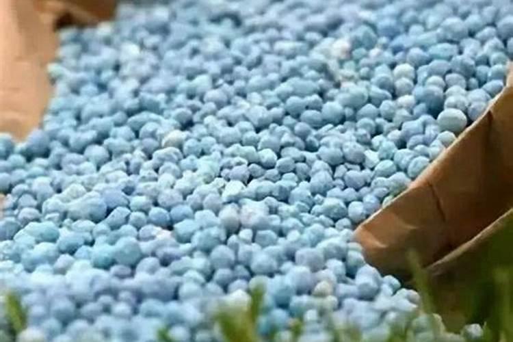 小麦的生长周期 肥料氮磷钾的比例是多少