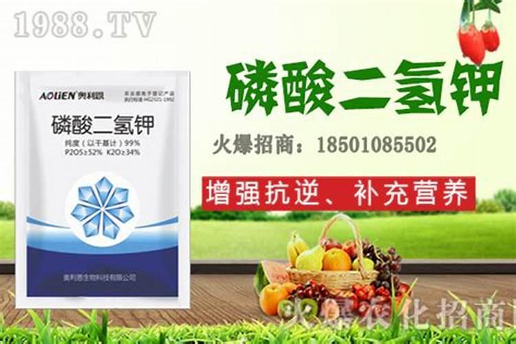 葡萄树用什么肥料好